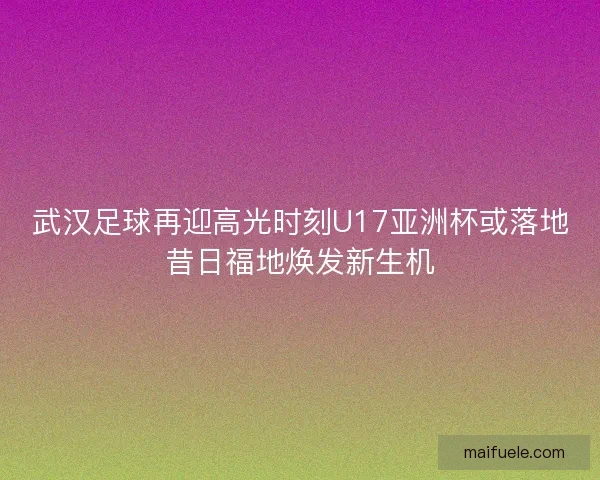 武汉足球再迎高光时刻U17亚洲杯或落地昔日福地焕发新生机