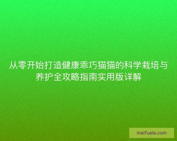 从零开始打造健康乖巧猫猫的科学栽培与养护全攻略指南实用版详解