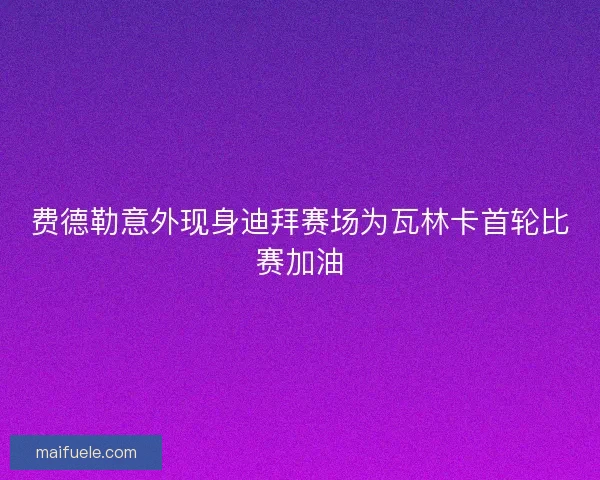费德勒意外现身迪拜赛场为瓦林卡首轮比赛加油